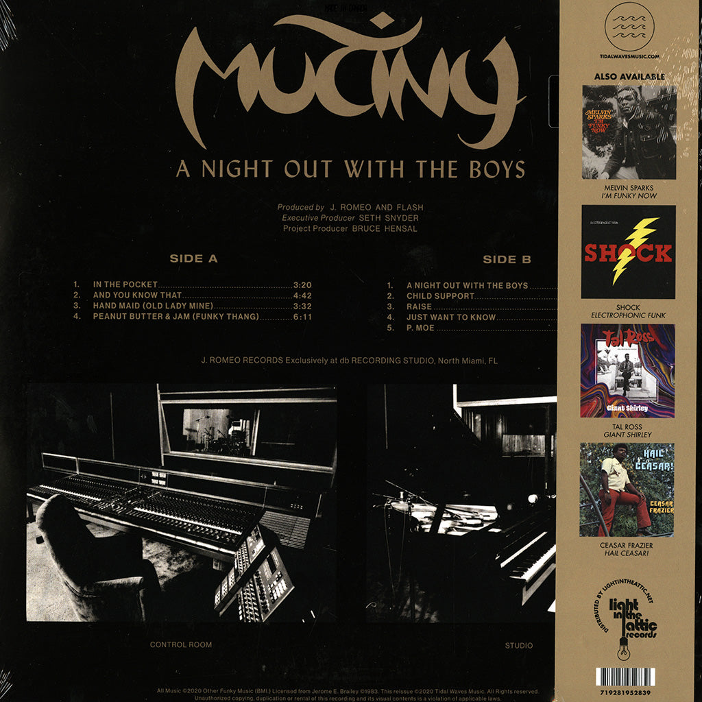 A Night Out With The Boys (180g LP)