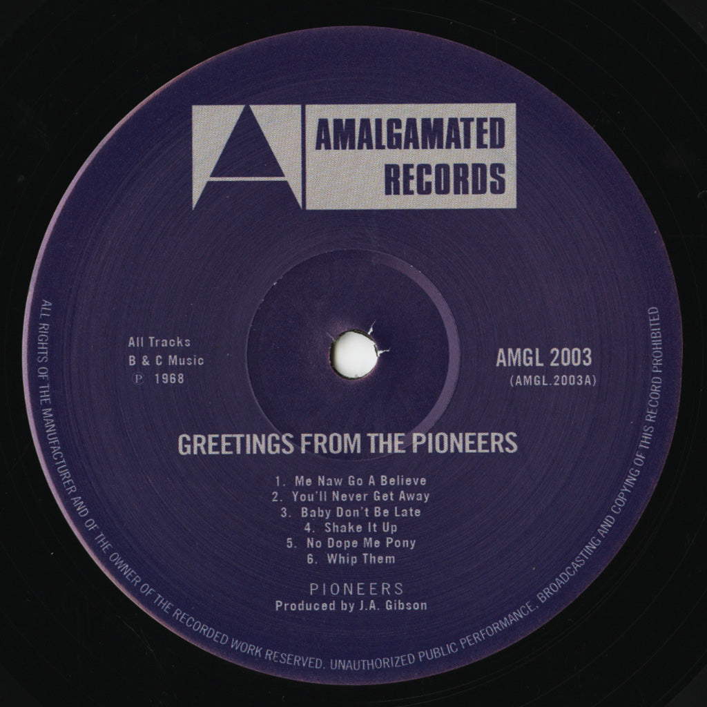 Greetings From The Pioneers (LP)