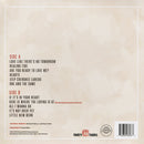 Healing Tide (Gatefold LP)