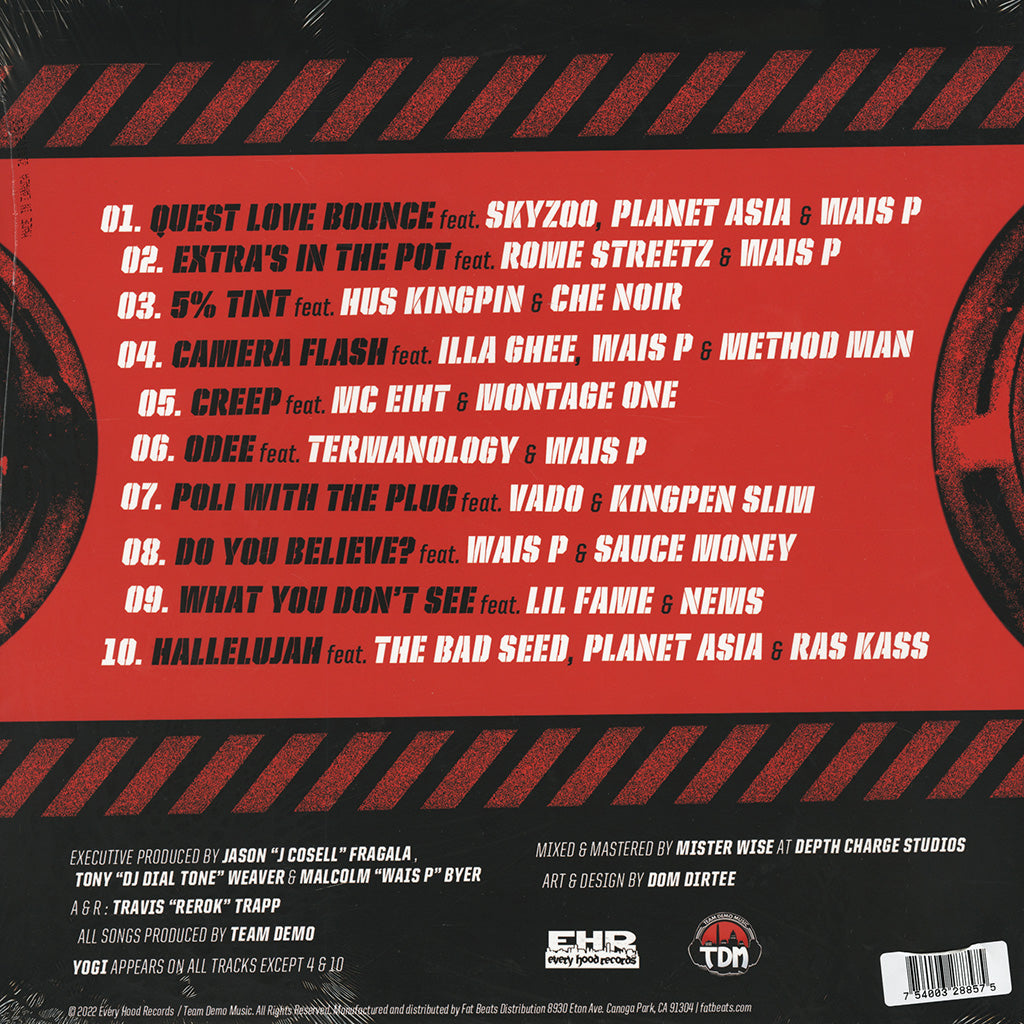 It's A Demo (LP)