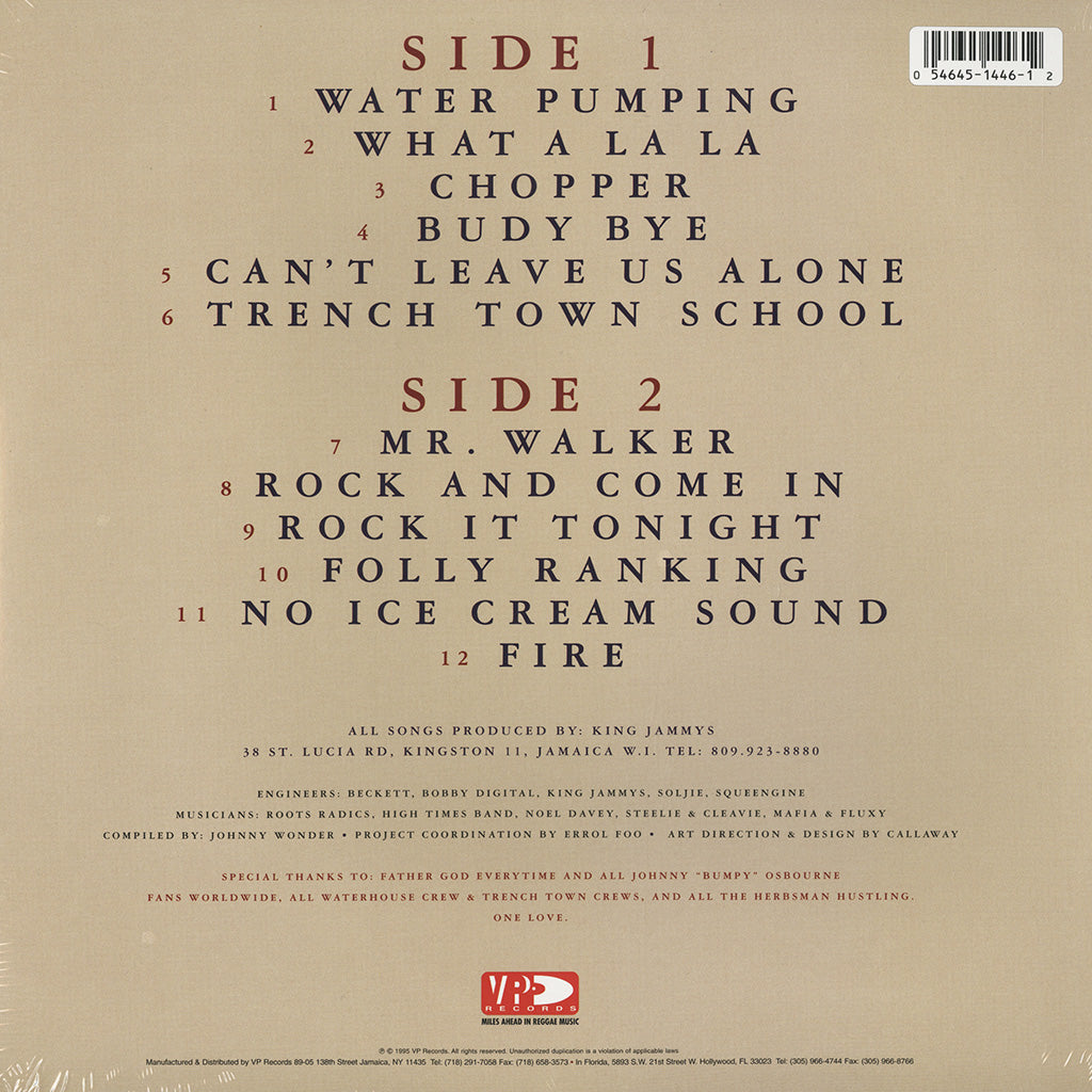 Mr. Budy Bye (Color Vinyl LP)