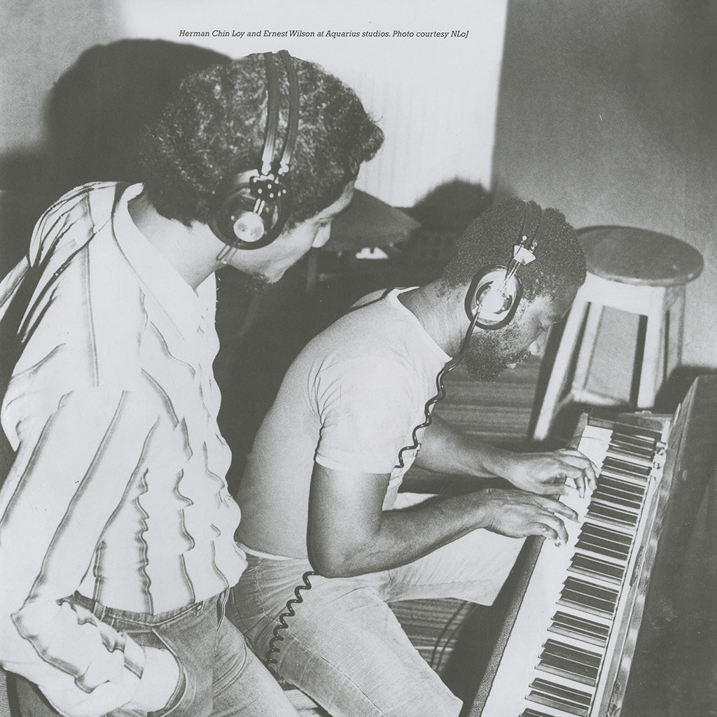 Musicism Dub (2LP)