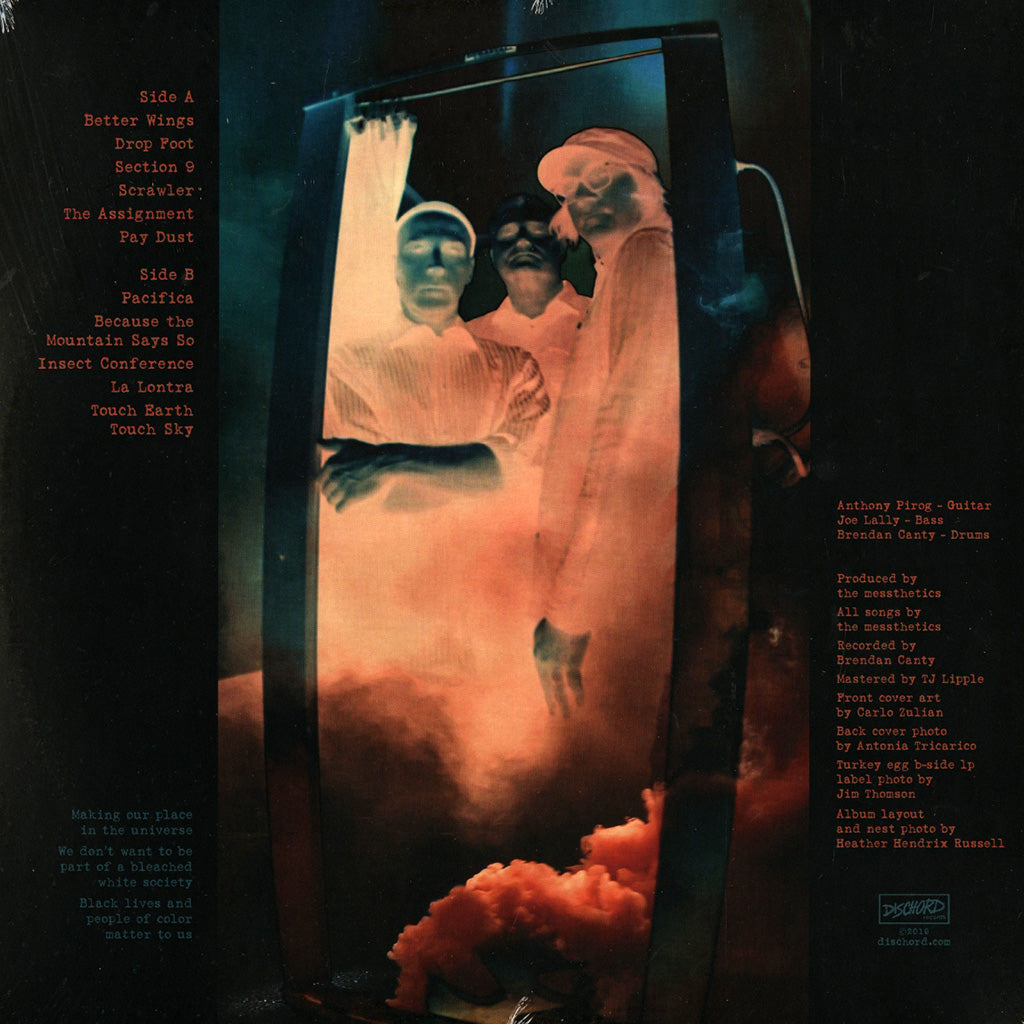 Anthropocosmic Nest (LP)