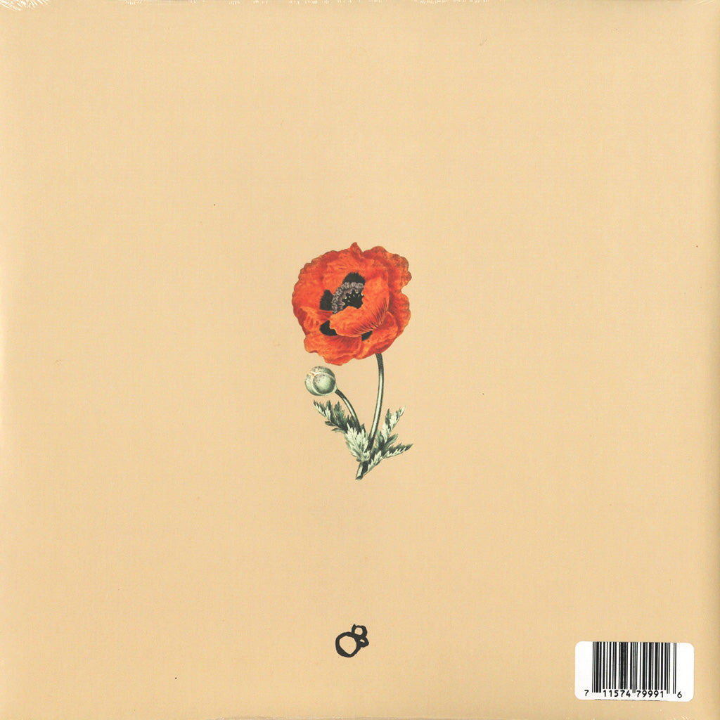 Daniel Bachman (LP)