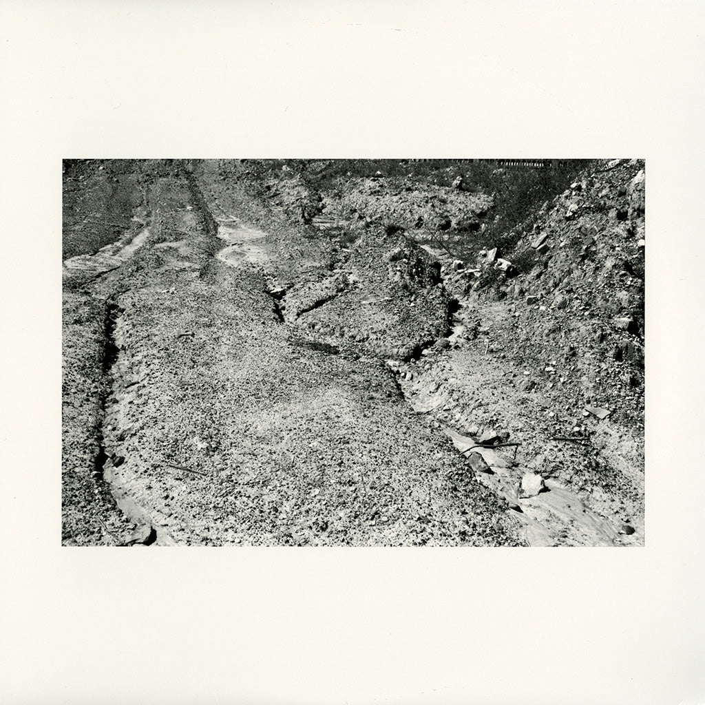 Grey - Black - Green (LP)
