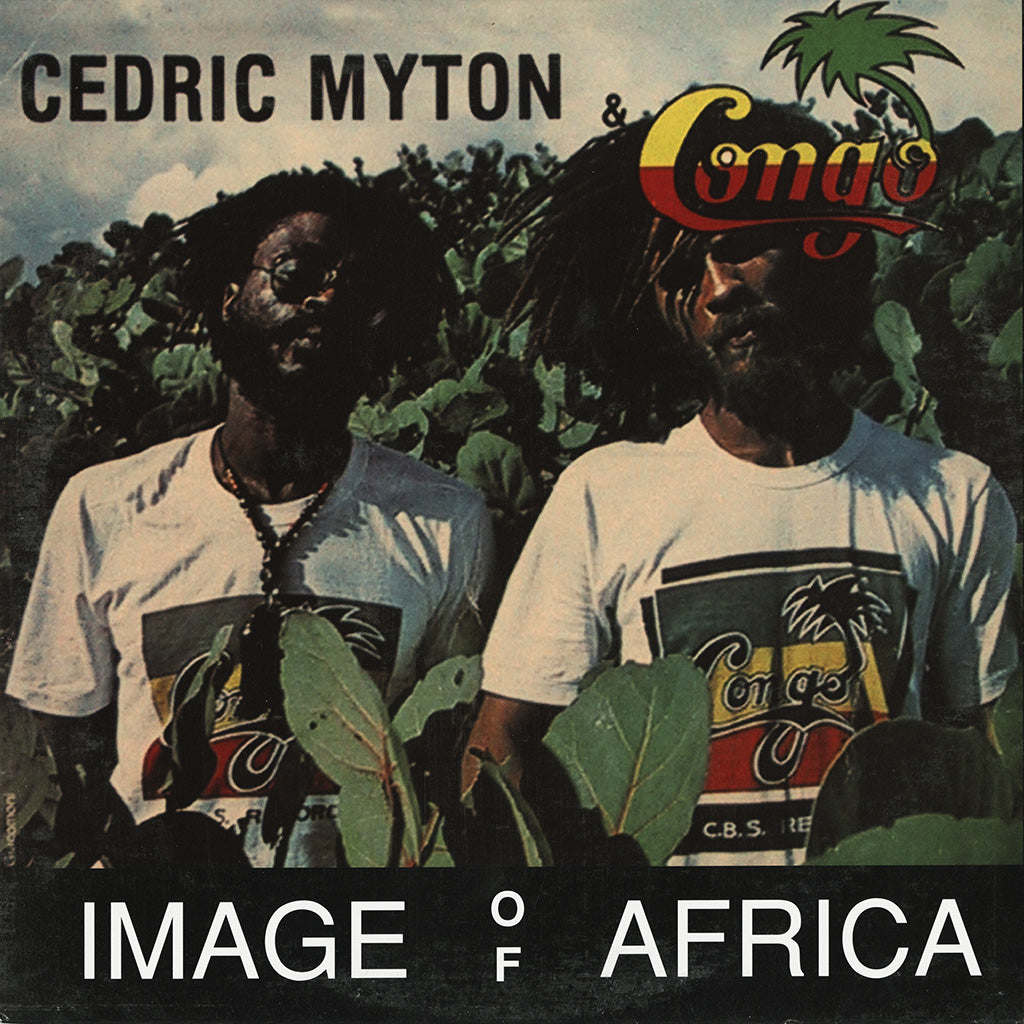 Image Of Africa (Color Vinyl LP)