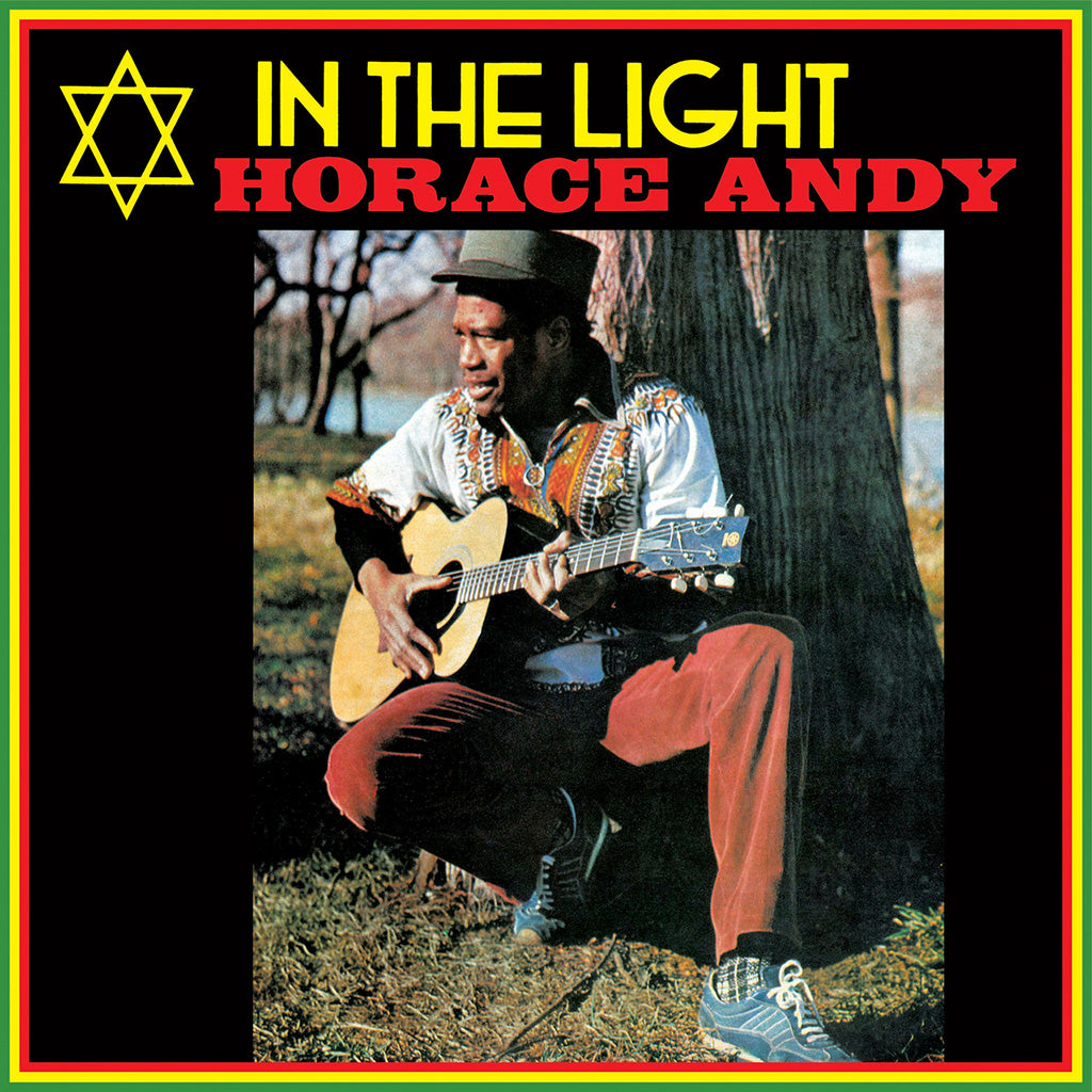 In The Light (LP)