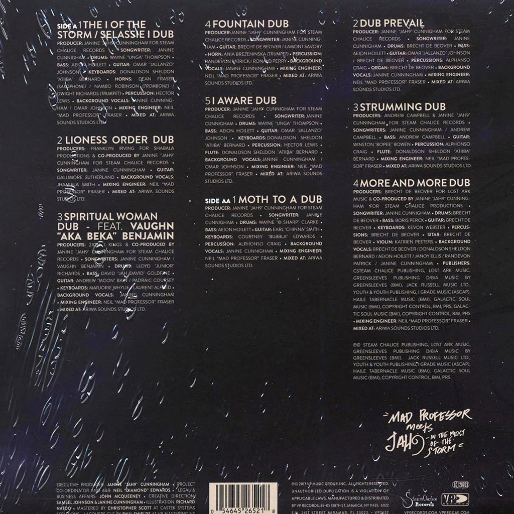 In The Midst Of The Storm (LP)