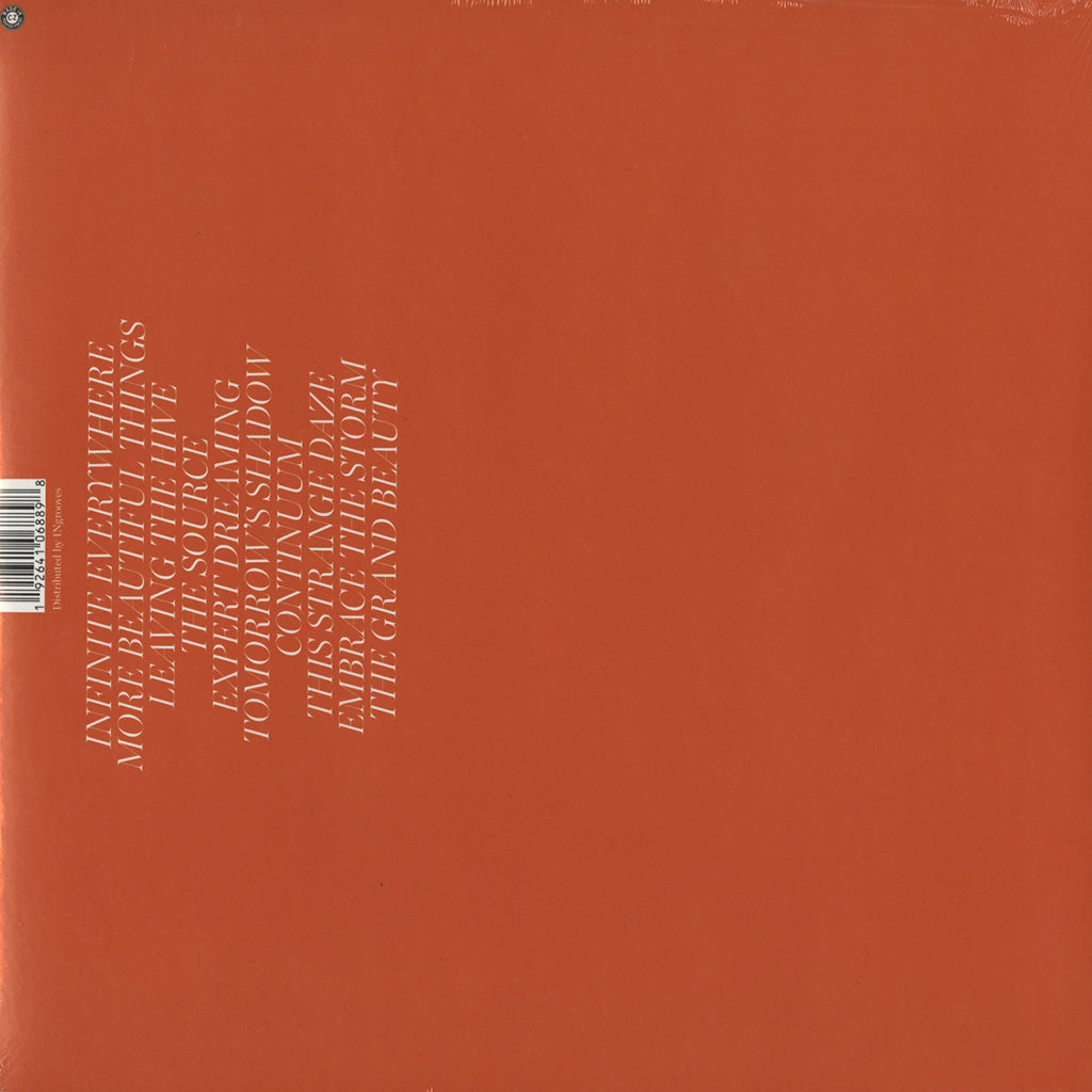 Infinite Everywhere (LP)