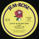 Fun / Slippin' In The Back Door (Original 12")