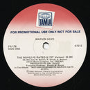 The World Is Rated X (Promo 12" EP)