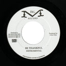 Be Thankful (For What You Got) (7")