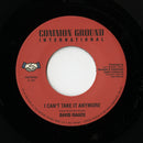 I Can't Take It Anymore (7")