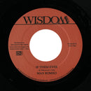If Them Ever (7")