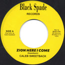 Zion Here I Come / Think It Over (7")