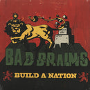 Build A Nation (LP)