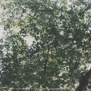 Different Damage (LP)