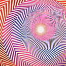 Electrical Field Of Love (LP)