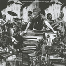 Psalms In Dub Vol. 1 (LP)