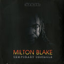 Temporary Obstacle (LP)