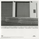 The Beauty In All (Color Vinyl LP)