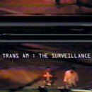 The Surveillance (LP)