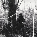 Today, I Wrote Nothing (Clear Vinyl 2LP)