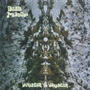 Voyager To Voyager (LP)