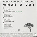 What A Joy (2LP)