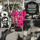Psych Funk 101 (2LP)