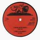 Dem No Like Mi Address / Who Is The Almighty (10")