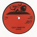 Dem No Like Mi Address / Who Is The Almighty (10")