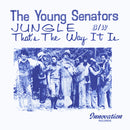 Jungle / That's The Way It Is (7")