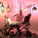 Songs For Voice And Mellotron (CD)