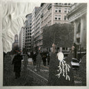 Are These the Questions That We Need To Ask? (LP)