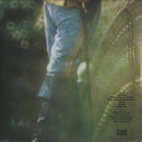 Different Strokes For Different Folks (LP)