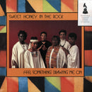 Feel Something Drawing Me On (LP)