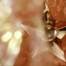 Glaziao (Color Vinyl LP)