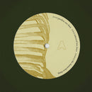 Please Advise (Color Vinyl 12" EP)