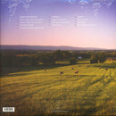 Sometimes Just The Sky (2LP)