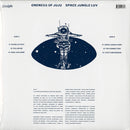 Space Jungle Luv (180g LP)
