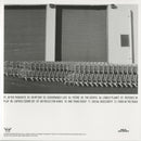 The Beauty In All (White Vinyl LP)